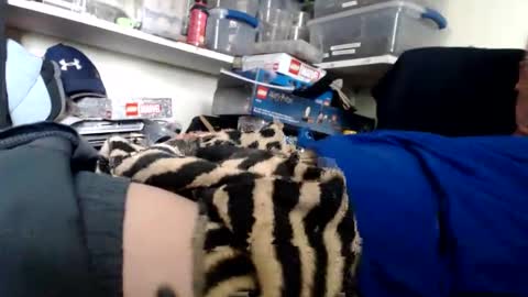 Snapshot of allwolf0323 chatting on 03.13.26 allwolf0323 online show from 03.13.26