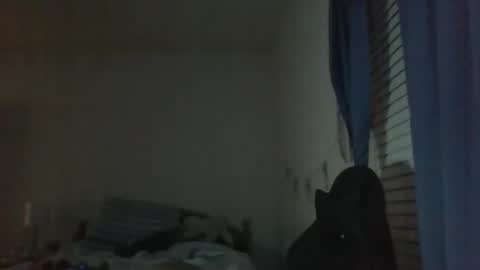 ally12334 online show from 10.25.25