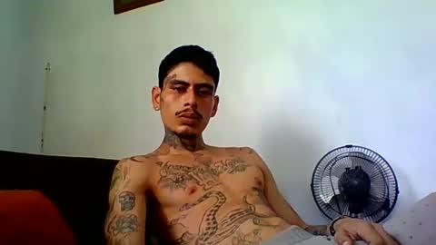 Alpha Zom online show from 04.24.26