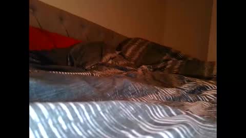 Snapshot of alwaysdownforwhatev chatting on 10.26.25 alwaysdownforwhatev online show from 10.26.25