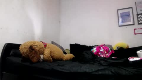 Snapshot of alynfoxx chatting on 06.24.26 Alyn Maria online show from 06.24.26