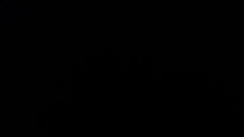 Amarantha online show from 01.10.25