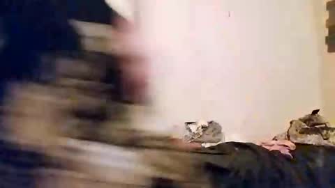 amberjohnson1387 online show from 03.15.26