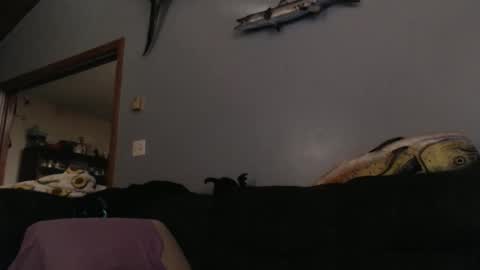 Snapshot of ambers666999 chatting on 10.25.25 ambers666999 online show from 10.25.25