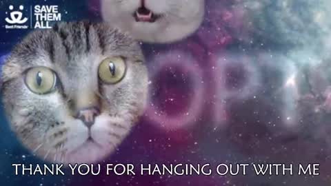 Snapshot of ambersimard chatting on 03.05.25 Amber online show from 03.05.25