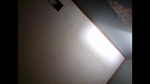 Snapshot of ambularalertisback chatting on 01.20.25 One Youre Looking For online show from 01.20.25