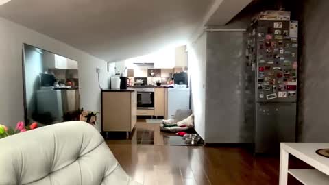 amyroberta92 online show from 02.25.26