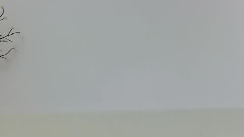 anaid_blaze2 online show from 11.10.25