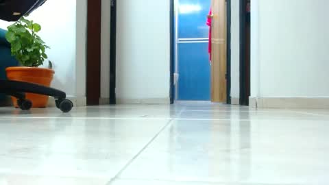 anaids online show from 01.01.25