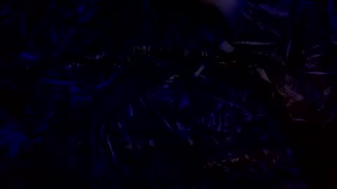 Snapshot of anal_stoner69 chatting on 12.04.24 anal_stoner69 online show from 12.04.24