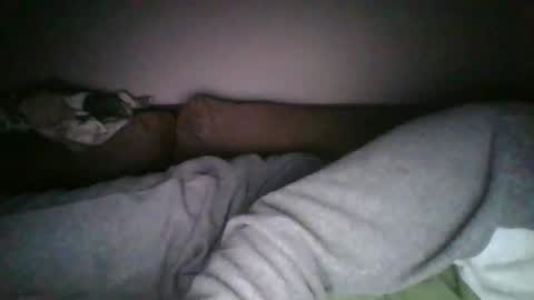 andellus online show from 03.01.25