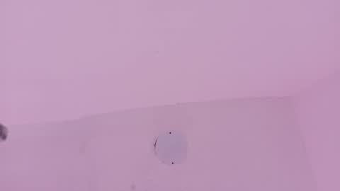 A n d r  e a S w e e t  online show from 03.19.26