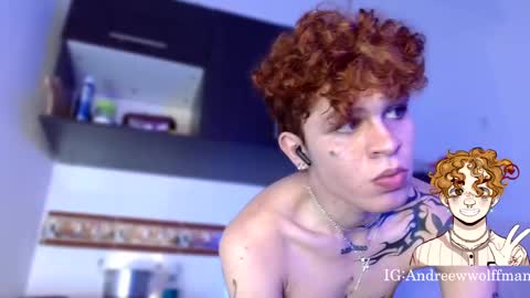 Snapshot of andreewwolffman chatting on 01.14.25 Andrew online show from 01.14.25