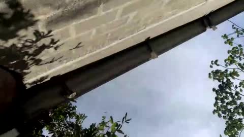 Snapshot of andrew_sanders_ chatting on 09.14.25 andrew online show from 09.14.25