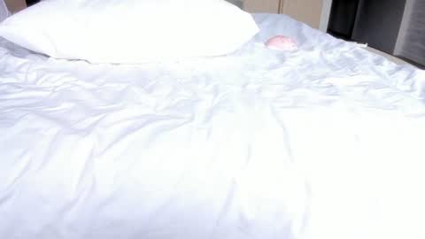 Snapshot of angel_andreww chatting on 07.29.26 angel_andreww online show from 07.29.26