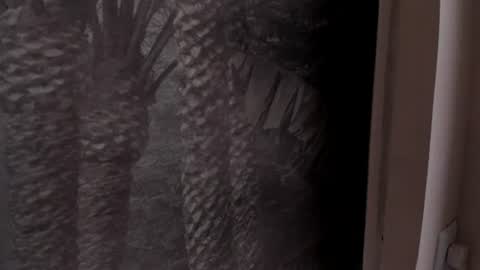 Snapshot of angelierose_ chatting on 06.27.26 Angelie Rose online show from 06.27.26