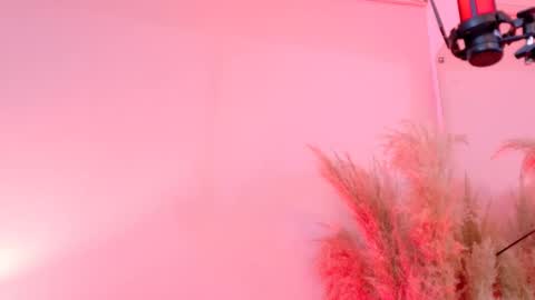 Snapshot of angell_bell chatting on 03.01.25 Angel online show from 03.01.25