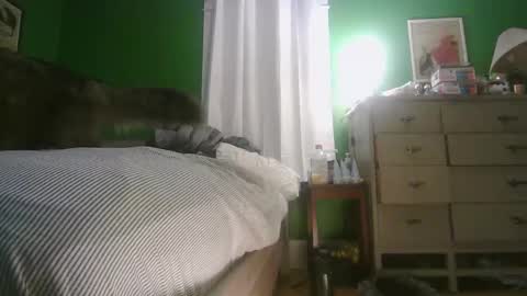 Snapshot of anilyseardor chatting on 02.15.26 Ani online show from 02.15.26