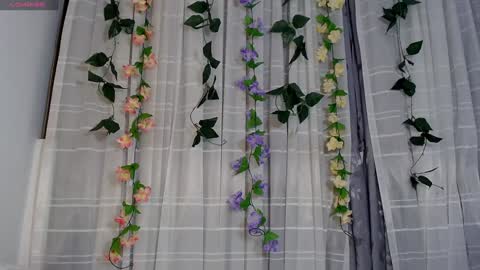 Snapshot of anissa_lee chatting on 01.02.25 anissa_lee online show from 01.02.25