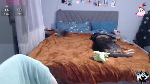 Snapshot of anna_ana chatting on 01.08.25 Anadirectgirl online show from 01.08.25