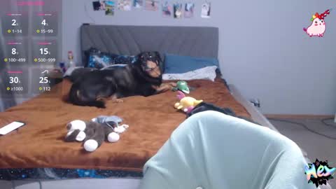 Snapshot of anna_ana chatting on 02.25.25 Anadirectgirl online show from 02.25.25