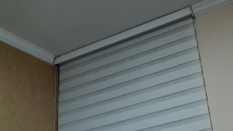       online show from 02.10.26