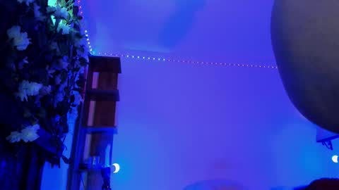 Snapshot of anny_kiitty_ chatting on 01.31.26 Anny online show from 01.31.26