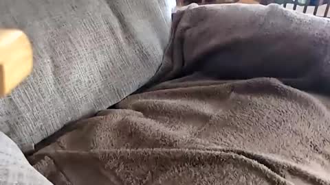 Snapshot of anonisme_54 chatting on 11.20.25 jay online show from 11.20.25