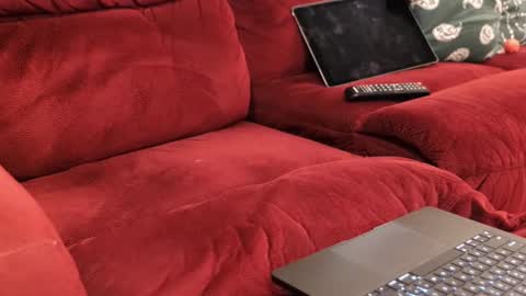 D online show from 02.20.26