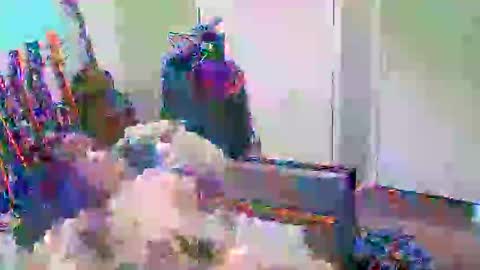 Snapshot of anssyboy696 chatting on 10.11.25 anssyboy696 online show from 10.11.25