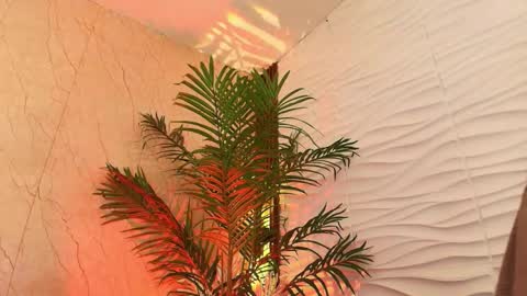 Snapshot of anton__monacu chatting on 11.25.25 anton__monacu online show from 11.25.25