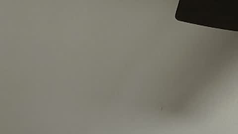 anydaynow2024 online show from 12.15.25