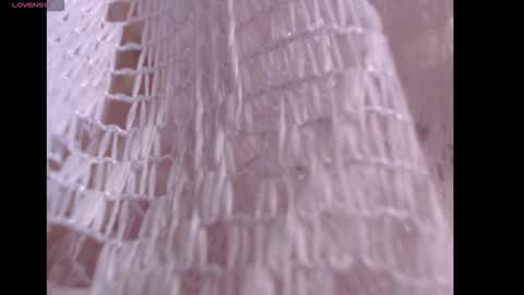 Snapshot of anyholl chatting on 02.14.26 any simsom online show from 02.14.26