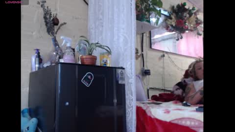 Snapshot of anyholl chatting on 03.01.26 any simsom online show from 03.01.26