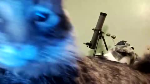 Snapshot of aphrodite60 chatting on 01.12.25 Aphrodite60 online show from 01.12.25