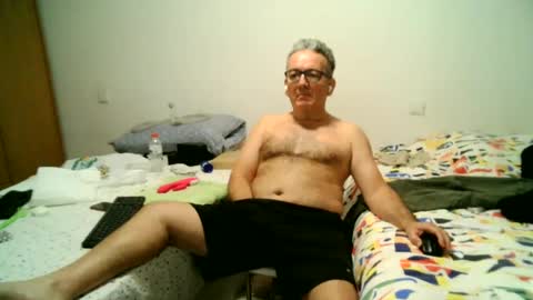 furry bear online show from 12.28.24