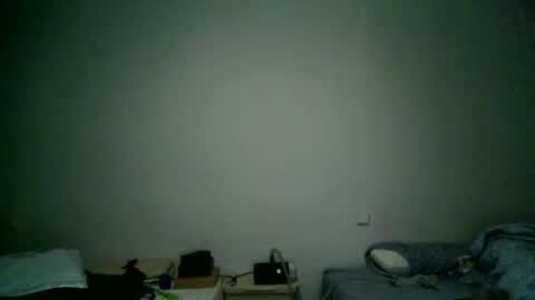 furry bear online show from 01.03.25