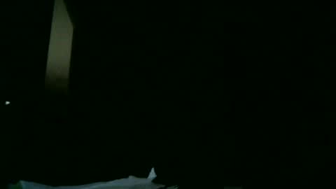 furry bear online show from 03.09.25