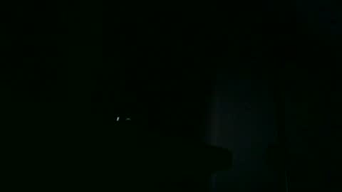 furry bear online show from 10.18.25