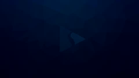 Apolo online show from 01.04.25