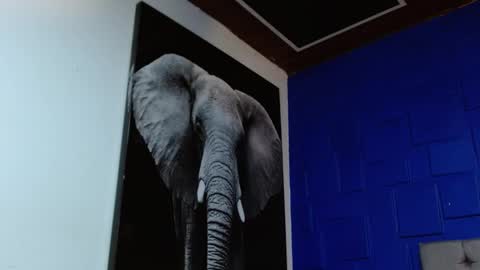 Snapshot of apolo_klein1 chatting on 02.11.25 Apolo online show from 02.11.25