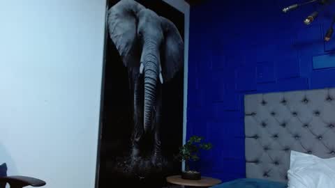 Snapshot of apolo_klein1 chatting on 02.14.25 Apolo online show from 02.14.25