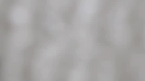 April online show from 12.29.24