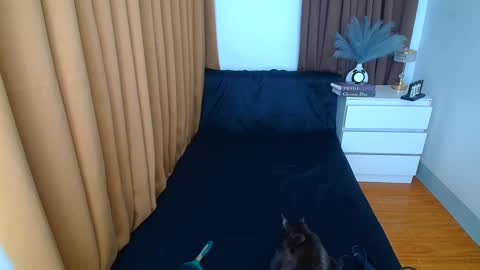 Snapshot of arabella_califa chatting on 03.09.25 ARABELLA online show from 03.09.25