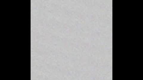 Arianna Collins online show from 12.18.25