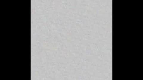 Arianna Collins online show from 01.17.26