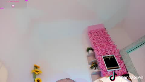 Snapshot of arianna_gren chatting on 12.23.24 Arianna online show from 12.23.24