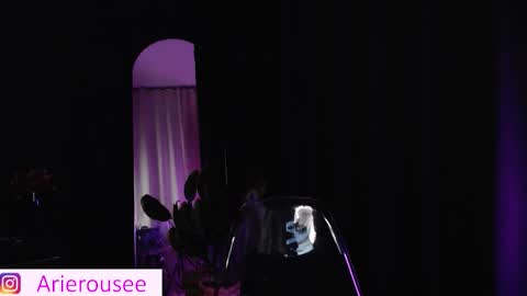 Snapshot of arie_rousee_sub chatting on 01.15.26 ARIE online show from 01.15.26