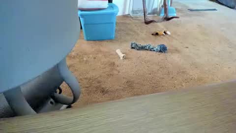 armalite16 online show from 10.12.25