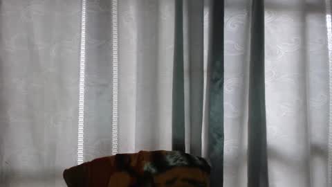 Snapshot of armando_2002 chatting on 12.16.25 ARMANDO online show from 12.16.25